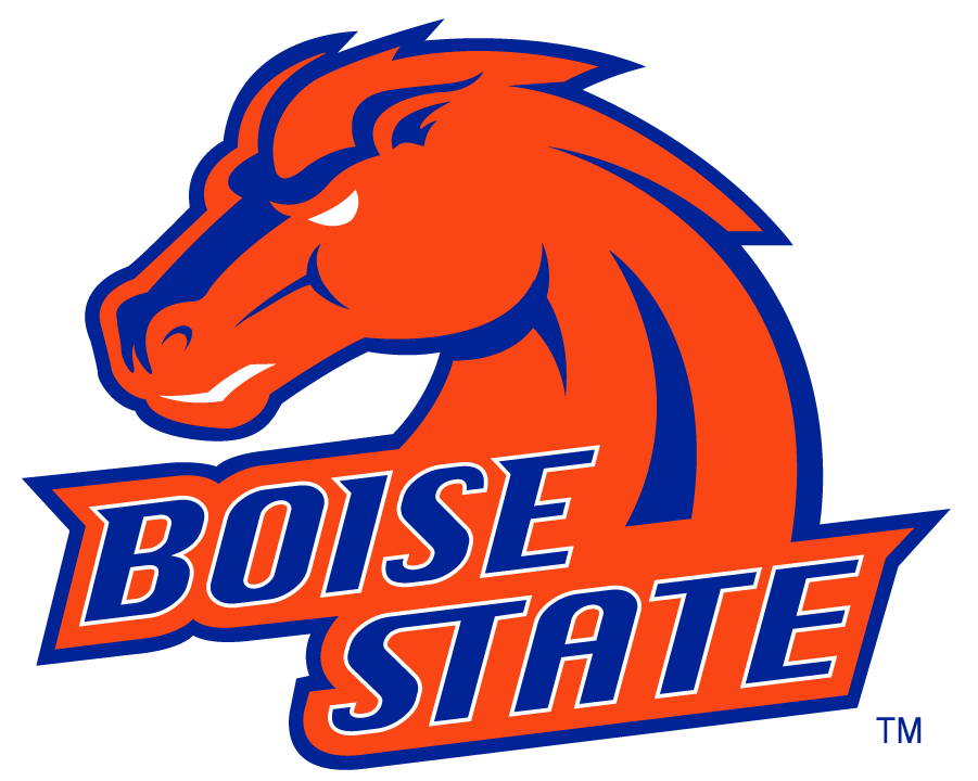 Boise State Broncos 2002-2012 Alternate Logo v3 diy DTF decal sticker